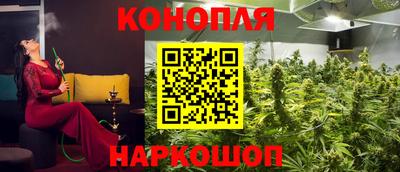 мдпв Пенза