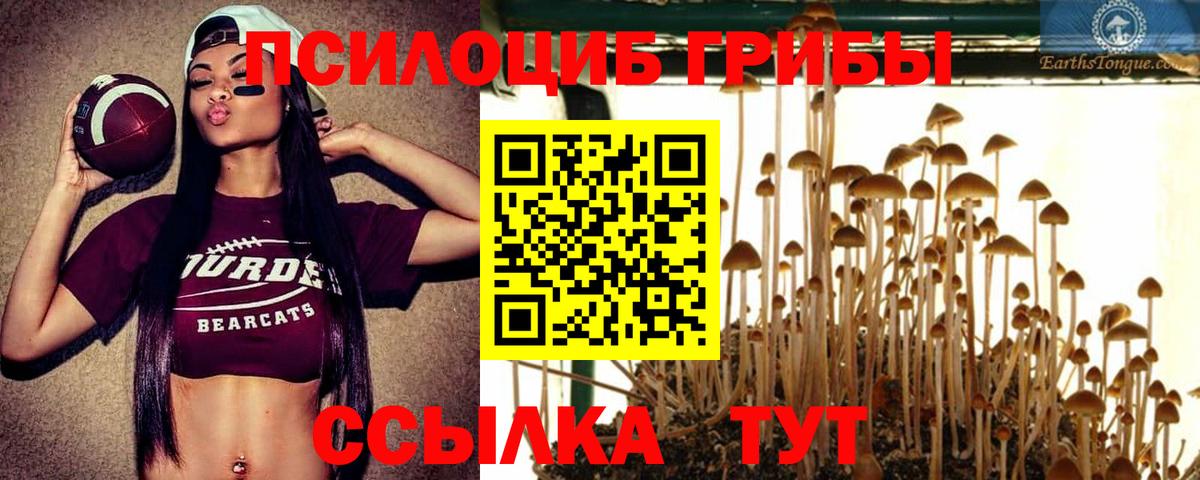 Галлюциногенные грибы ЛСД  Псилоцибиновые грибы мицелий  Тольятти  Вход с VPN 
